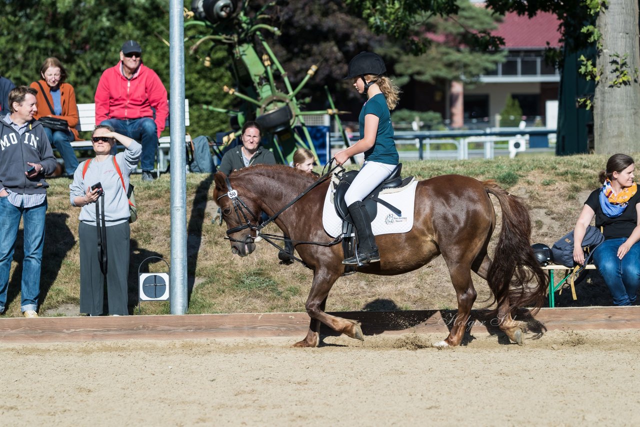 Bild 21 - Pony Akademie Turnier